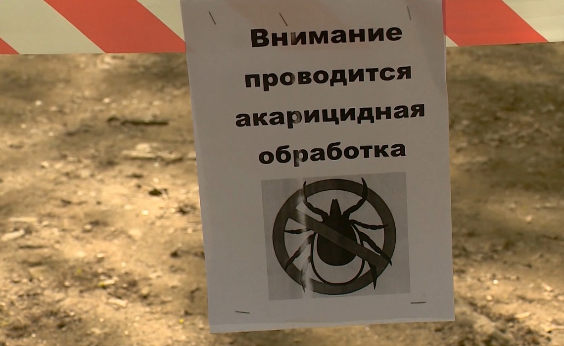 Пензенцев просят воздержаться от посещения Олимпийской аллеи в связи с акарицидной обработкой